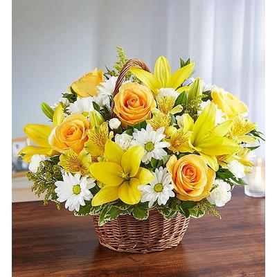 1-800-Flowers Flower Delivery Peace Prayers & Blessings Yellow & White Large | Happiness Delivered To Their Door