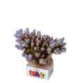 Aqua Della 234-431269 Aquariumdekoration Coral-Module Acropora, lila