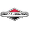 Briggs & Stratton OEM 1672344SM Pin-Rnd Hd Drilled .3