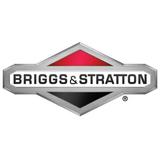 Briggs & Stratton OEM 1672344SM Pin-Rnd Hd Drilled .3