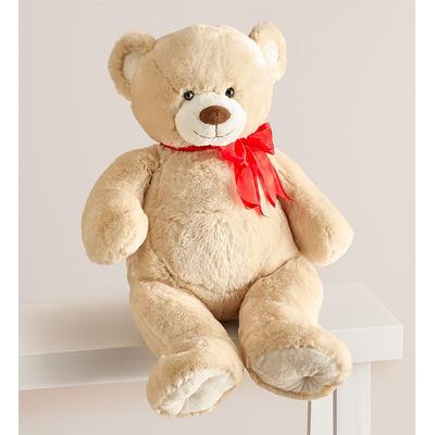 1-800-Flowers Seasonal Gift Delivery Lotsa Love Big Bear For Romance