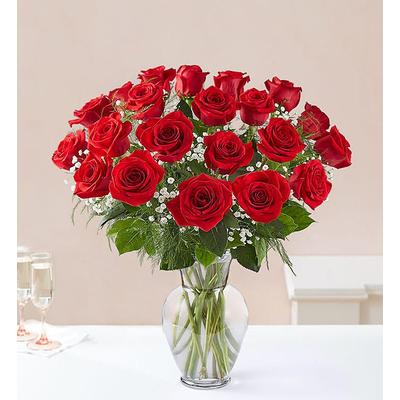 1-800-Flowers Flower Delivery Ultimate Elegance Long Red24 Roses | Happiness Delivered To Their Door