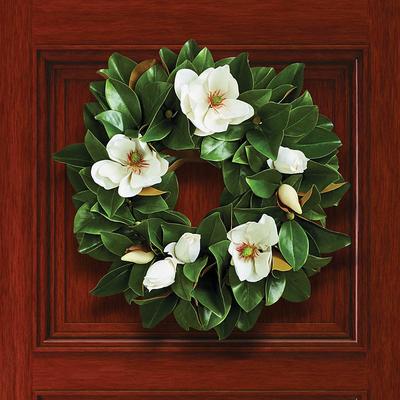 Magnolia Wreath - Frontgate