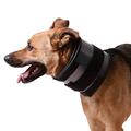 KVP Bite Free Collar Fits 21-25" Neck, 6" Wide