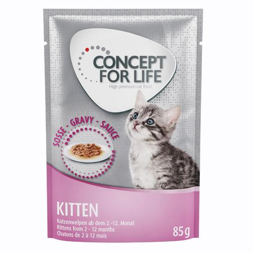 12x85 g Kitten in Soße Concept for Life Katzenfutter nass