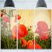 Design Art 'Colorful Poppy Flower Field' 3 Piece Photographic Print on Metal Set Metal in Red | 28 H x 36 W x 1 D in | Wayfair MT13853-3P