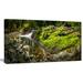 Design Art 'Creek Moss & Rocks Panorama' Photographic Print on Wrapped Canvas Metal in Brown/Green | 16 H x 32 W x 1 D in | Wayfair PT15414-32-16