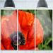 Design Art 'Close-Up View of Poppy Flower' 3 Piece Photographic Print on Metal Set Canvas in Red | 28 H x 36 W x 1 D in | Wayfair MT12982-3P