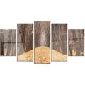 Design Art 'Yellow Road Through Fall Forest' 5 Piece Photographic Print on Metal Set Canvas in Green/Yellow | 32 H x 60 W x 1 D in | Wayfair