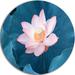 Design Art 'Blooming Lotus Flower' Photographic Print on Metal in Pink | 23 H x 23 W x 1 D in | Wayfair MT10921-C23