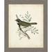 Ashton Wall Décor LLC 'Delicate Birds VI' Framed Painting Print Paper in Gray/Green | 24 H x 20 W x 0.75 D in | Wayfair 4257