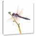 August Grove® 'Burgundy Dragonfly SQ' Graphic Art on Wrapped Canvas Canvas, Cotton | 10 H x 10 W x 2 D in | Wayfair BLMT3571 41788831