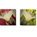 Latitude Run® 'Lily' 2 Piece Graphic Art Print Set on Wrapped Canvas Canvas, Solid Wood in Brown/Green/Red | 18 H x 18 W x 1.5 D in | Wayfair