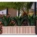 Gracie Oaks Kymera Wood Planter Box Wood in Brown | 12 H x 24 W x 12 D in | Wayfair 4D8A490C82A141C488D690695C05CFA5