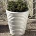 Brayden Studio® Round Ruffle 3-Piece Terracotta Pot Planter Set Clay & Terracotta | 23 H x 20 W x 20 D in | Wayfair BYST8633 43865641