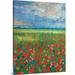 August Grove® Kidham Poppy Field by Michael Creese Painting Print on Canvas in Blue/Green/Red | 20 H x 16 W x 1.25 D in | Wayfair