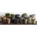 Canora Grey Farmer's 12-Piece Terracotta Pot Planter Set Clay & Terracotta | 7 H x 6.25 W x 6.25 D in | Wayfair CAGY2047 43865631