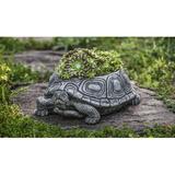 Campania International Turtle Stone Statue Planter Stone, Copper in Gray | 4.25 H x 9.5 W x 12.5 D in | Wayfair P-714-NN