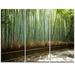 Design Art Beautiful View of Bamboo Forest - 3 Piece Photographic Print on Wrapped Canvas Set Canvas in Green | 28 H x 36 W x 1 D in | Wayfair