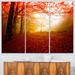 Design Art Yellow Sun Rays in Red Forest - 3 Piece Graphic Art on Wrapped Canvas Set Canvas in Green/Red | 28 H x 36 W x 1 D in | Wayfair PT9558-3P