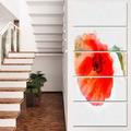 Design Art 'Large Red Poppy on White Back' 5 Piece Painting Print on Wrapped Canvas Set Canvas in Red/White | 60 H x 28 W x 1 D in | Wayfair