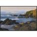 East Urban Home 'Northern Elephant Seals Resting On The Beach, Point Piedras Blancas, California' Framed Photographic Print in White | Wayfair