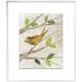 East Urban Home 'Birds in Spring II' Framed Graphic Art Print on Canvas in Brown/Green | 35.6 H x 31.6 W x 1.5 D in | Wayfair ETHG5581 45376558