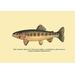 Buyenlarge 'The Golden Trout of Volcano Creek' by H.H. Leonard Graphic Art in Yellow | 20 H x 30 W x 1.5 D in | Wayfair 0-587-02314-7C2030