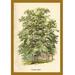 Buyenlarge 'The Plane Tree' by W.H.J. Boot Painting Print in Green | 36 H x 24 W x 1.5 D in | Wayfair 0-587-17637-7C2436