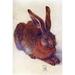 Buyenlarge 'Field Hare' by Albrecht Durer Painting Print in Brown | 66 H x 44 W x 1.5 D in | Wayfair 0-587-26482-9C4466
