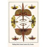 Buyenlarge Walking Stick Greater Lantern Fly Cicadas by Albertus Seba - Graphic Art Print in Brown/Green | 42 H x 28 W x 1.5 D in | Wayfair