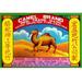 Buyenlarge Camel Brand Extra Selected Firecracker - Advertisements Print in Blue/Red/Yellow | 44 H x 66 W x 1.5 D in | Wayfair 0-587-23314-1C4466