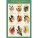 Buyenlarge Birds of Paradise Composite I Vertical Classroom Poster by John Gould - Graphic Art Print in Red/Yellow | 42 H x 28 W x 1.5 D in | Wayfair