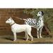 Buyenlarge 'Bull Terrier & Dalmation' by Vero Shaw Painting Print in Black/Brown/Green | 20 H x 30 W x 1.5 D in | Wayfair 0-587-29186-9C2030