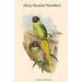 Buyenlarge Palaeornis Schisticeps Slaty-Headed Parakeet by John Gould - Graphic Art Print in Brown/Green | 42 H x 28 W x 1.5 D in | Wayfair