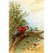 Buyenlarge 'Parrot in A Tree Above Hummingbrds' by A. Hochstein Painting Print in Brown/Green | 42 H x 28 W x 1.5 D in | Wayfair 0-587-31602-0C2842