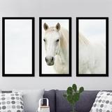 Picture Perfect International White Beauty 3 - 3 Piece Picture Frame Photograph Print Set on Acrylic in Black/White | Wayfair 704-2099-1224