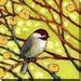 Picture Perfect International "Bird V" by Jennifer Lommers Painting Print on Wrapped Canvas in White | 36 H x 36 W x 1.5 D in | Wayfair