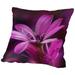 East Urban Home Macro Flower Blossom Throw Pillow Polyester/Polyfill/Cotton | 14 H x 14 W x 2 D in | Wayfair HACO3243 33664491