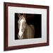 Trademark Fine Art 'Horse Portrait' Framed Photographic Print on Canvas Canvas, Wood | 16 H x 20 W x 0.5 D in | Wayfair EM0529-W1620MF
