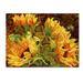 Trademark Fine Art "Four Sunflowers" by Mandy Budan Graphic Art on Wrapped Canvas Metal | 24 H x 32 W x 2 D in | Wayfair ALI0919-C2432GG