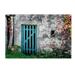 Trademark Fine Art 'The Old Wooden Door' by Philippe Sainte-Laudy Photographic Print on Wrapped Canvas Metal | 22 H x 32 W x 2 D in | Wayfair