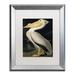 Trademark Fine Art 'American White Pelican' Framed Painting Print on Canvas Canvas, Wood | 20 H x 16 W x 0.5 D in | Wayfair BL01258-S1620MF