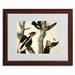 Trademark Fine Art "Ivory-Billed Woodpecker" by John James Audubon Framed Painting Print Canvas in Green | 16 H x 20 W x 0.5 D in | Wayfair