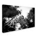 Trademark Fine Art "Queen of Africa" by Mathieu Rivrin Photographic Print on Wrapped Canvas in White | 30 H x 47 W x 2 D in | Wayfair