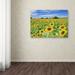 Trademark Fine Art 'Field of Yellow' Photographic Print on Wrapped Canvas in White/Black | 35 H x 47 W x 2 D in | Wayfair ALI3928-C3547GG
