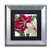 Trademark Fine Art 'Christmas Amaryllis I' by Color Bakery Framed Graphic Art Canvas | 11 H x 11 W x 0.5 D in | Wayfair ALI4022-S1111BMF