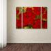 Trademark Fine Art 'Poppies' by Rio 3 Piece Painting Print on Wrapped Canvas Set Canvas | 30 H x 41 W x 2 D in | Wayfair MA099-3PC-SET-LG