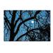 Trademark Fine Art 'Winter Moon' Photographic Print on Wrapped Canvas in White | 30 H x 47 W x 2 D in | Wayfair ALI12566-C3047GG