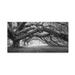 Trademark Fine Art 'Pasage 1 OL BW' Photographic Print on Wrapped Canvas Fabric in Black/Green/White | 10 H x 19 W x 2 D in | Wayfair